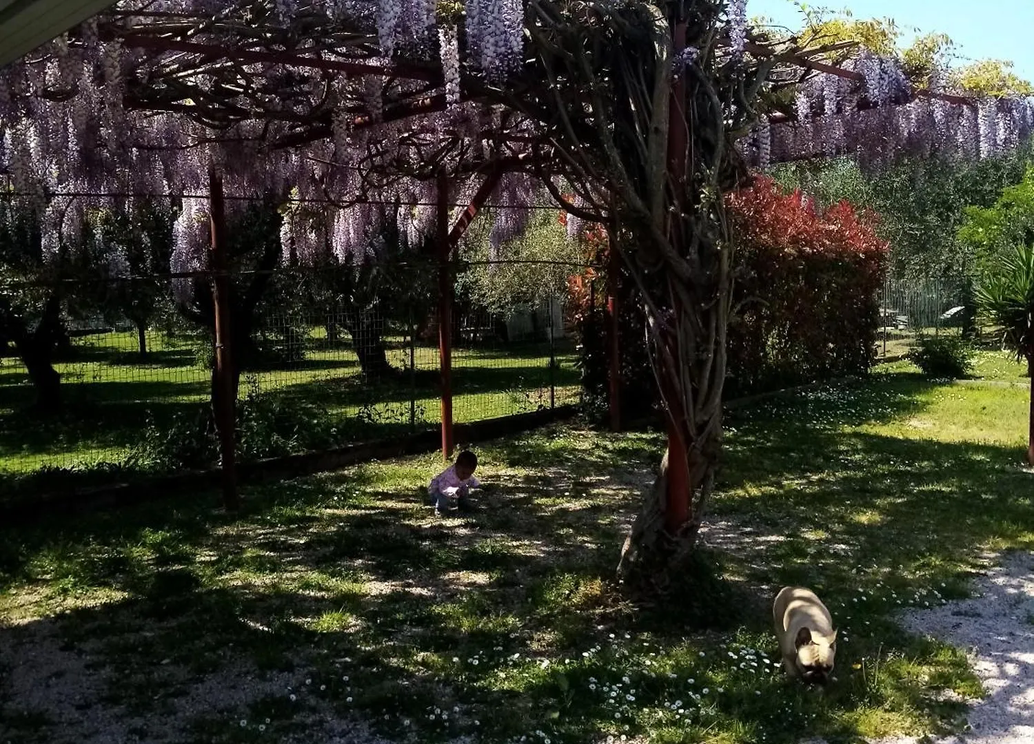 La Casa Gialla A Montignoso Bed & Breakfast